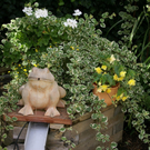 Rankweil Preiss  G  _2_.JPG