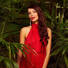 3_604773.jpg