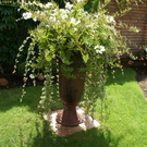 Rankweil Preiss  G  _8_.JPG