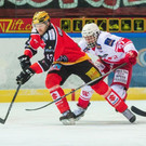 file73lgcl4zvmv17oh8t6ex.jpg