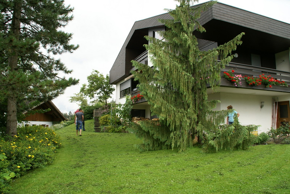 R__this M__hlburger G.JPG