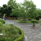 Sulz Freihof G  _2_.JPG