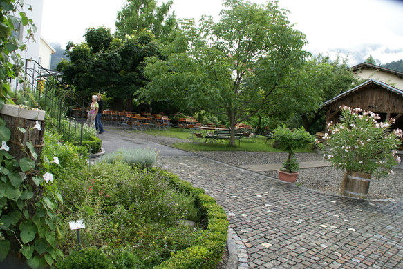 Sulz Freihof G  _2_.JPG