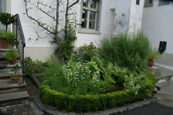 Sulz Freihof G  _3_.JPG