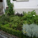 Sulz Freihof G  _4_.JPG