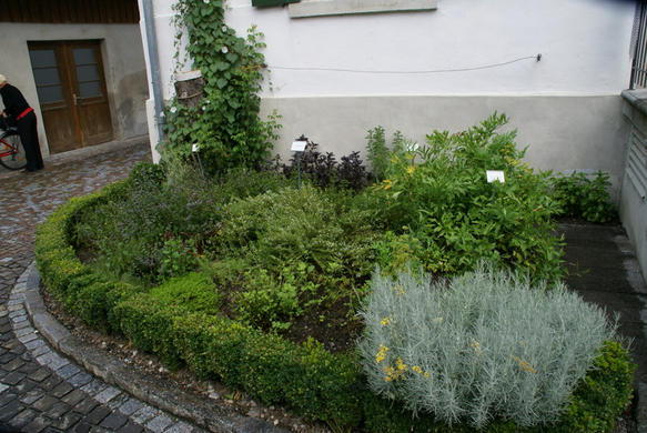 Sulz Freihof G  _4_.JPG