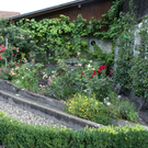 Sulz Freihof G  _5_.JPG