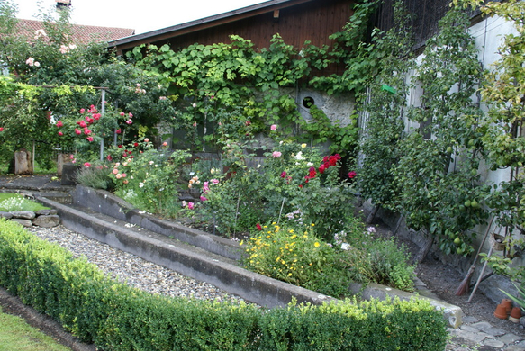 Sulz Freihof G  _5_.JPG