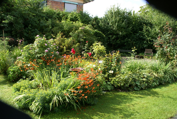 Sulz Freihof G  _6_.JPG