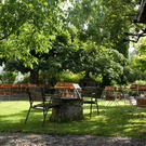 Sulz Freihof G  _7_.JPG