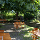 Sulz Freihof G  _8_.JPG