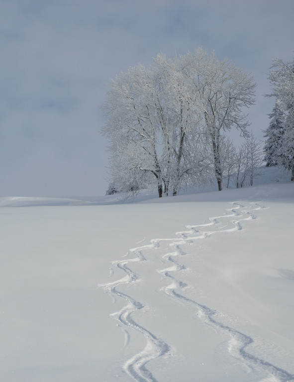 Winter 110119_102.JPG