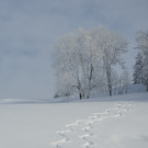 Winter 110119_102.JPG