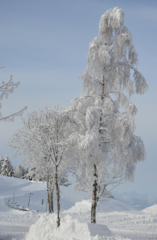 Winter 110119_104.JPG