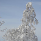 Winter 110119_104.JPG