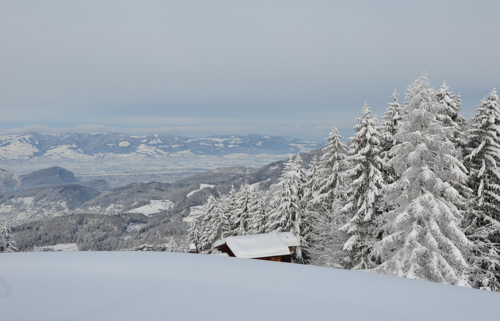 Winter 110119_110.JPG