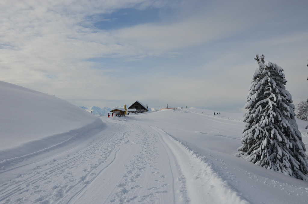 Winter 110119_111.JPG