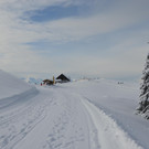 Winter 110119_111.JPG