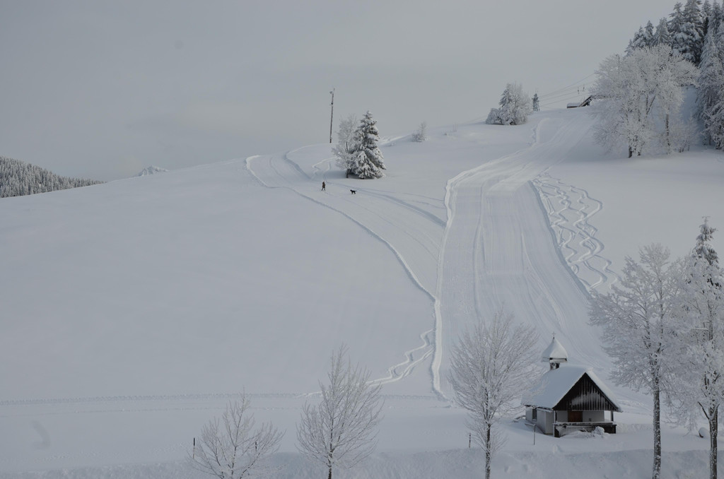 Winter 110119_113.JPG