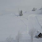 Winter 110119_113.JPG