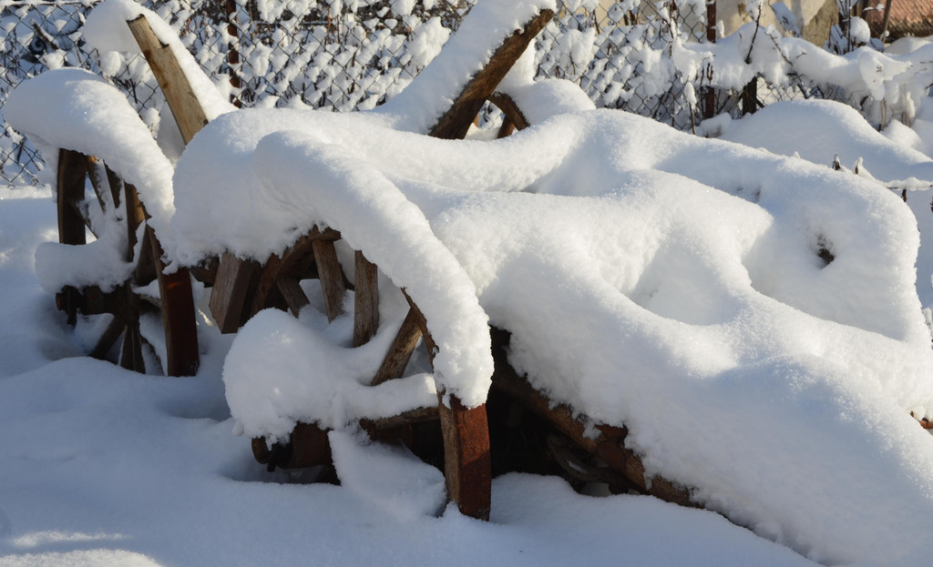 Winter 110119_19.JPG