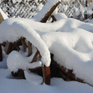 Winter 110119_19.JPG