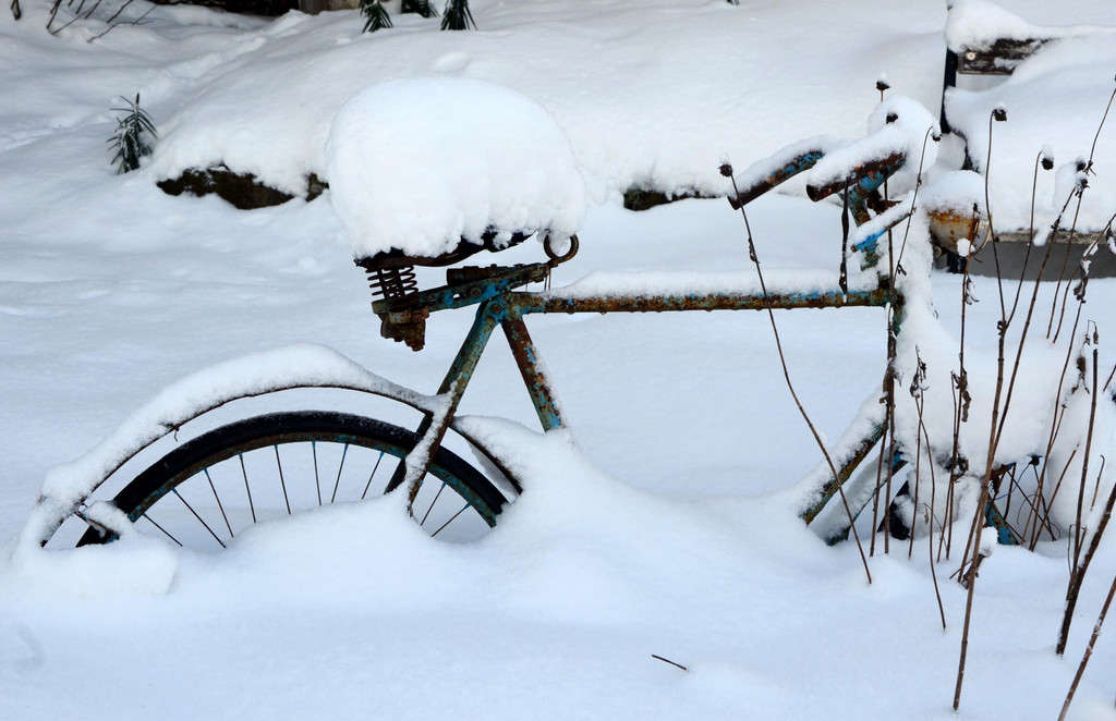 Winter 110119_20.JPG