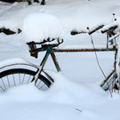 Winter 110119_20.JPG