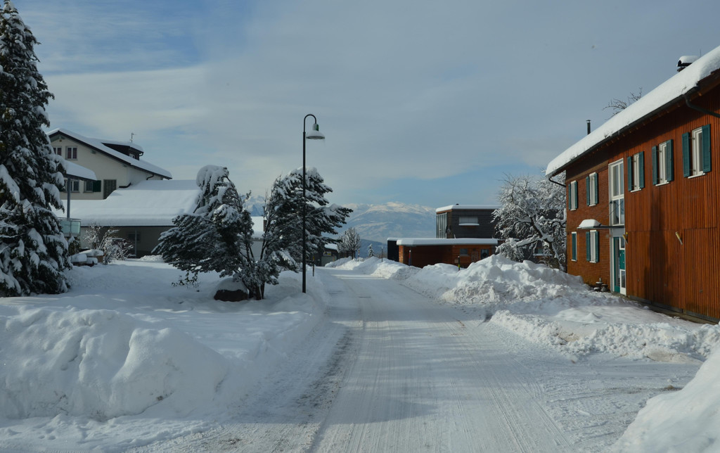 Winter 110119_22.JPG