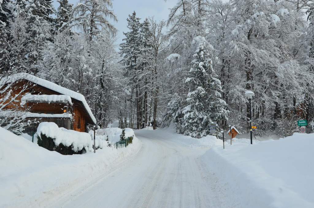 Winter 110119_27.JPG