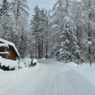 Winter 110119_27.JPG