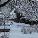 Winter 110119_3.JPG