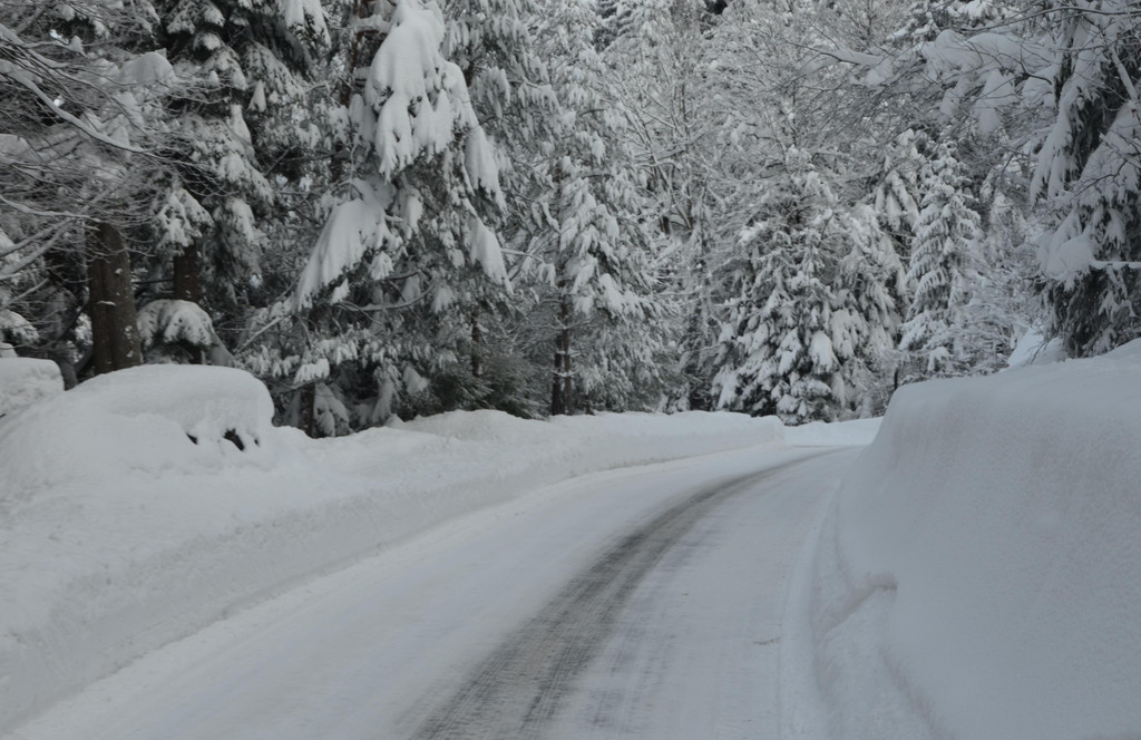 Winter 110119_31.JPG