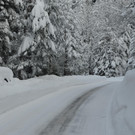 Winter 110119_31.JPG