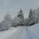 Winter 110119_37.JPG