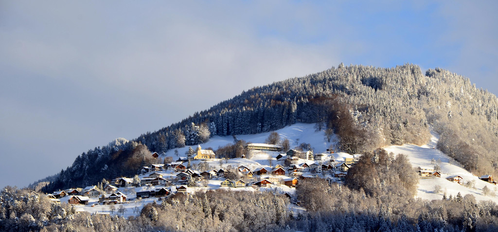 Winter 110119_4.JPG