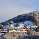 Winter 110119_4.JPG