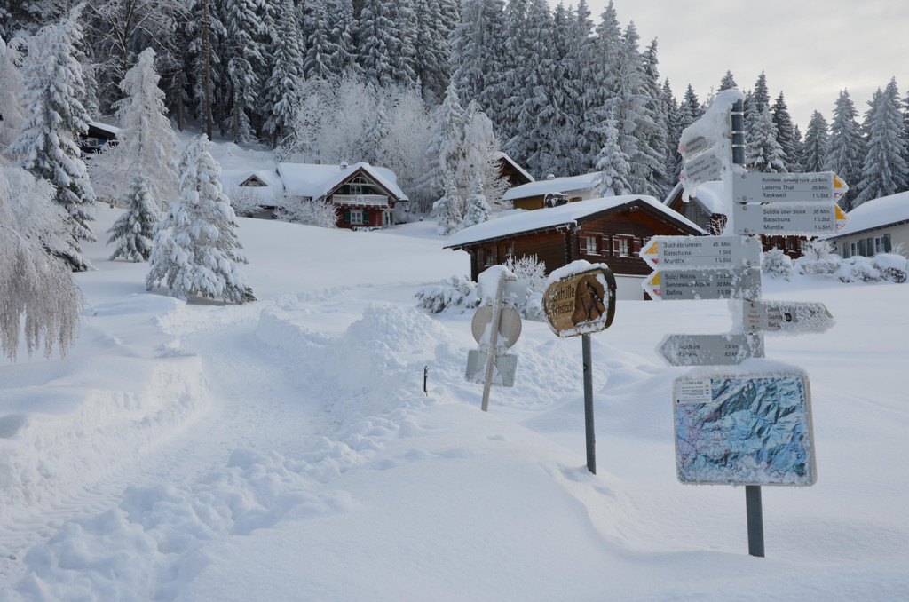 Winter 110119_43.JPG