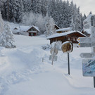 Winter 110119_43.JPG