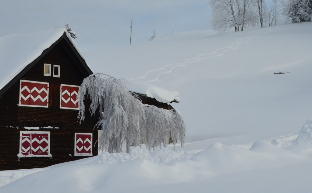 Winter 110119_48.JPG