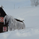 Winter 110119_48.JPG