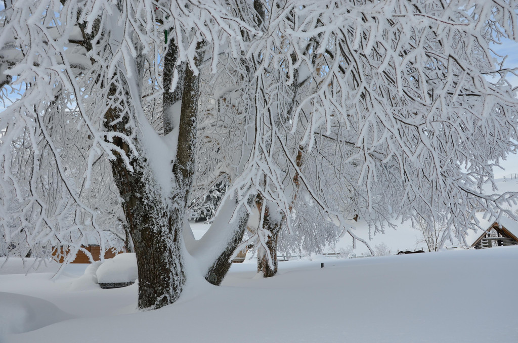 Winter 110119_50.JPG