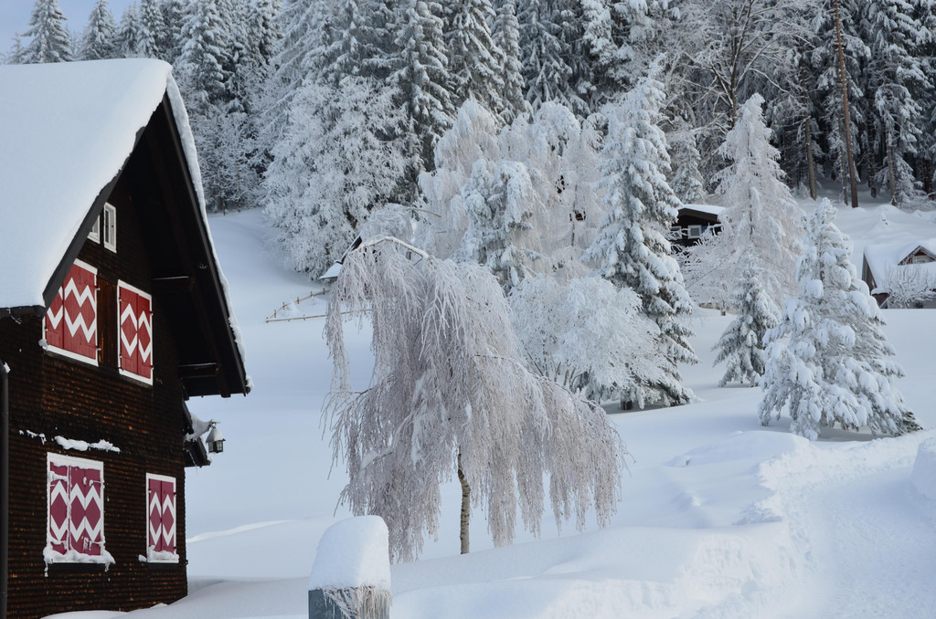 Winter 110119_59.JPG
