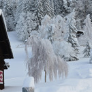 Winter 110119_59.JPG