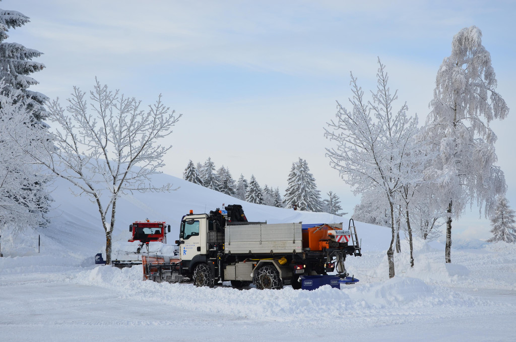 Winter 110119_61.JPG