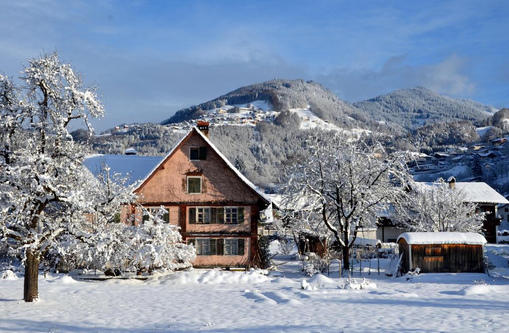 Winter 110119_7.JPG