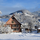 Winter 110119_7.JPG