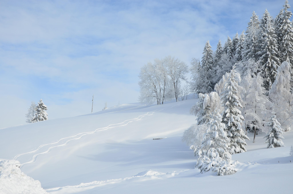 Winter 110119_88.JPG