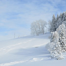 Winter 110119_88.JPG