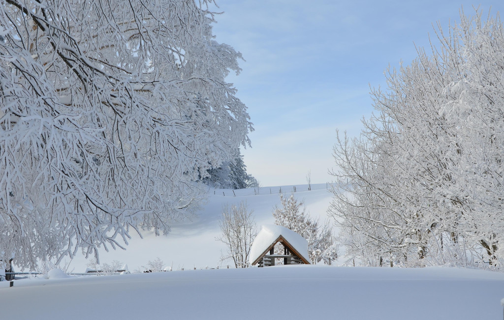 Winter 110119_89.JPG